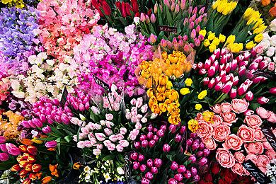 F5联合发布会：《剑侠图》新预告 3DM总监参与制作